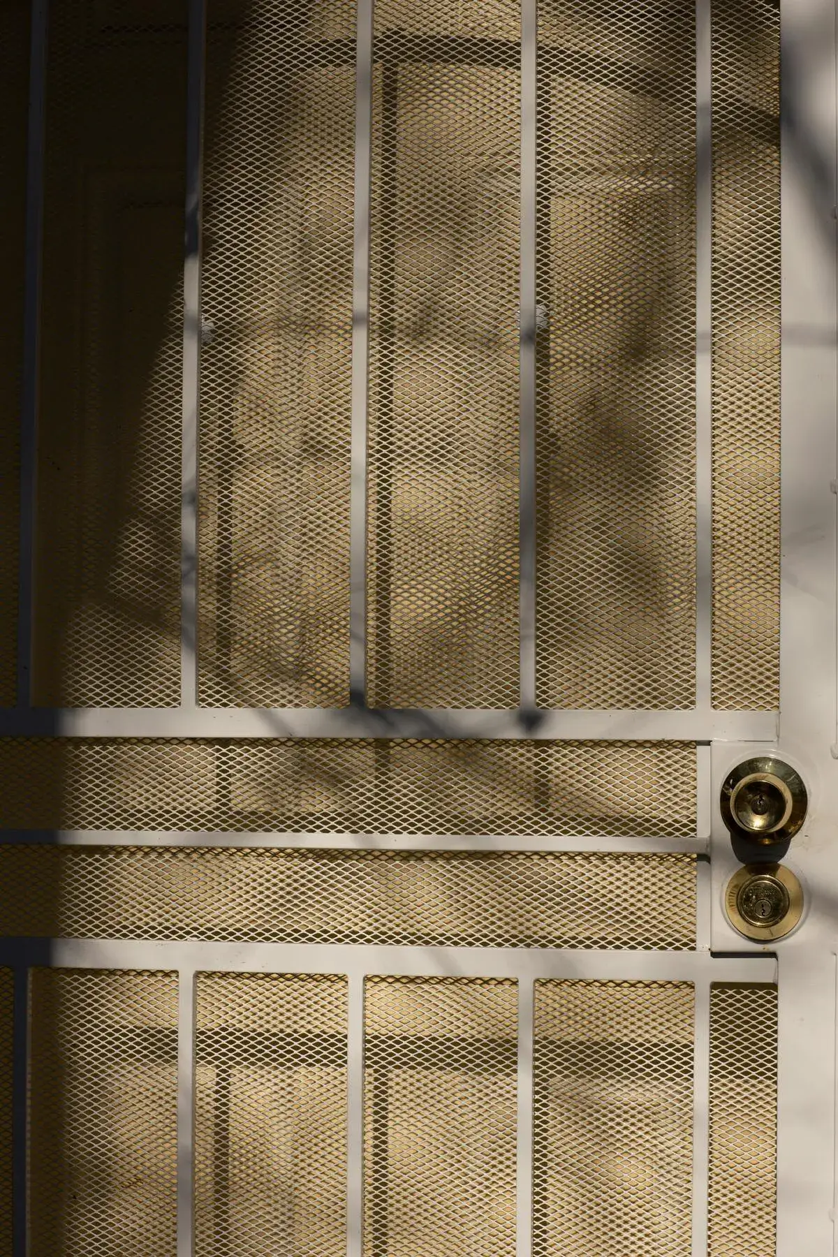 Screen safe security door