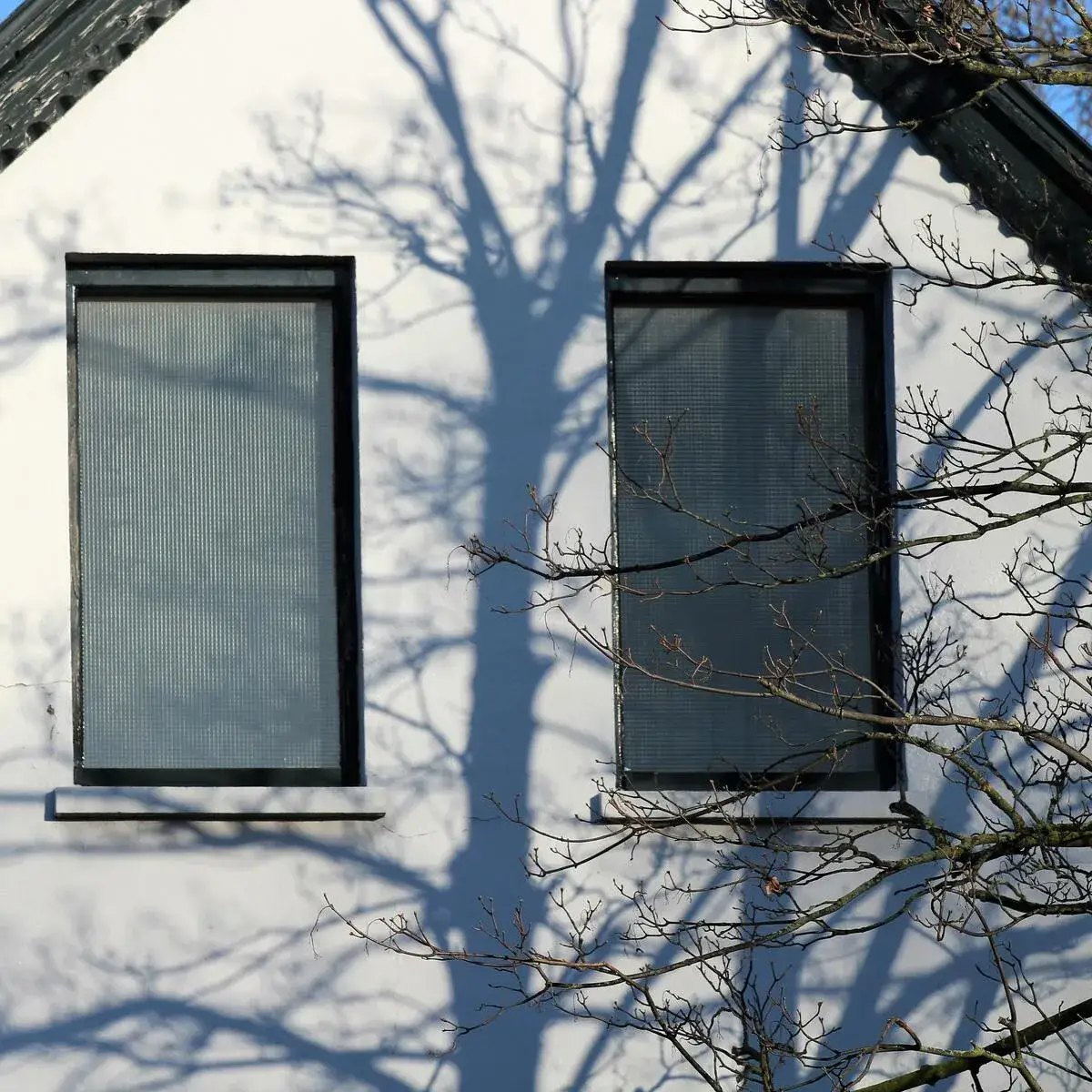Window fly screens